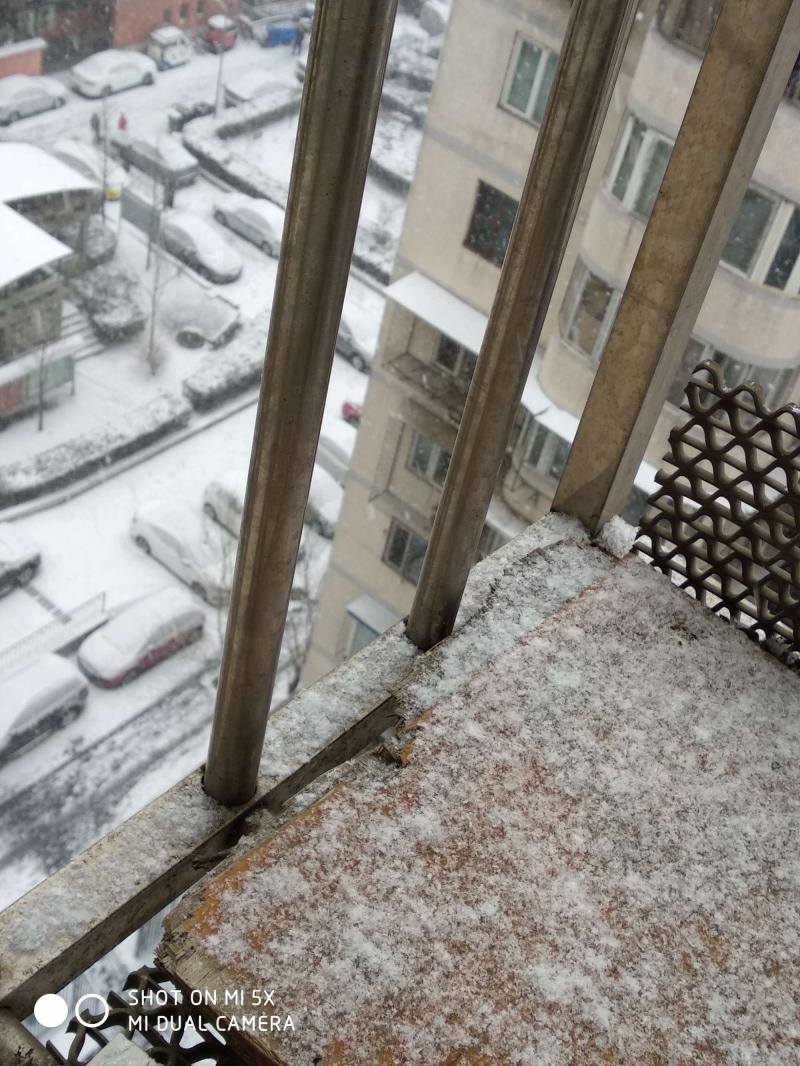 19年第一次見下雪-雪落下 月無瑕!終于等到你，2019第一場雪