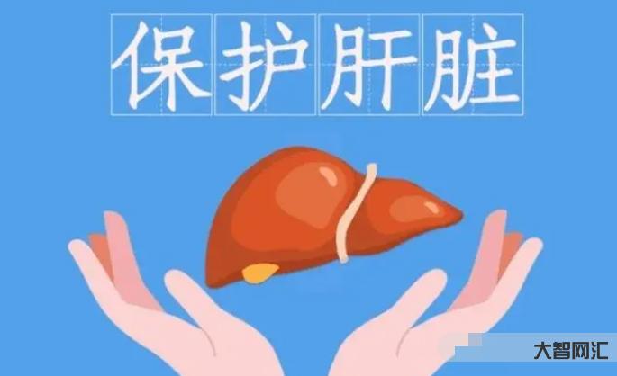 保肝護肝吃什么？一般什么年紀需要注意肝臟的保護？有沒有中藥比較有效果