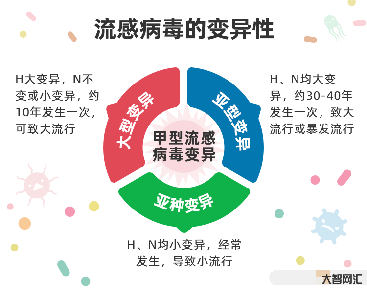 甲流是甲型流感病毒嗎-什么是甲流有哪些癥狀?如何有效預(yù)防甲流?現(xiàn)在接種 甲流是甲型流感病毒嗎-什么是甲流有哪些癥狀?如何有效預(yù)防甲流?現(xiàn)在接種