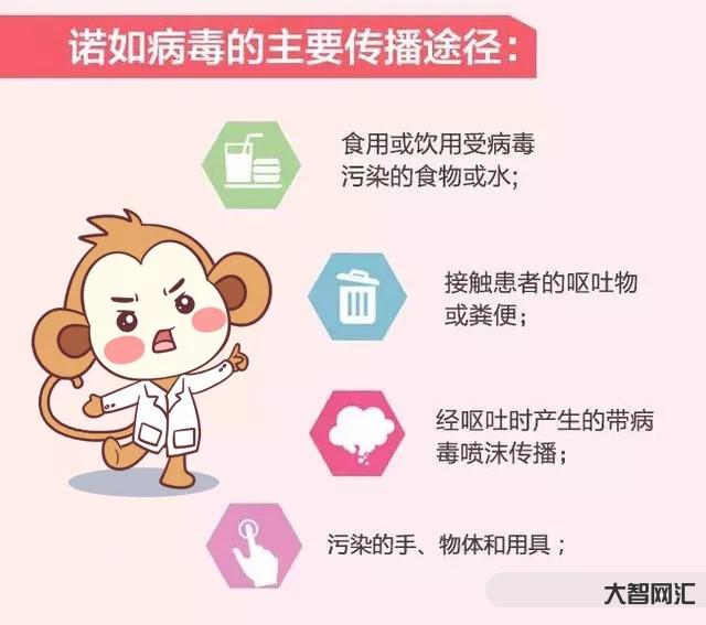 2、諾如病毒是什么?