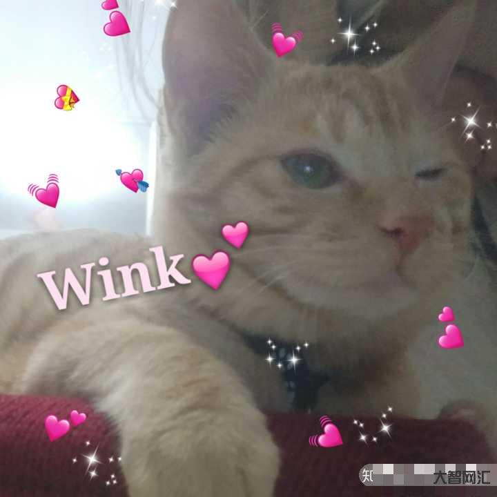 2、女生發wink是什么意思?