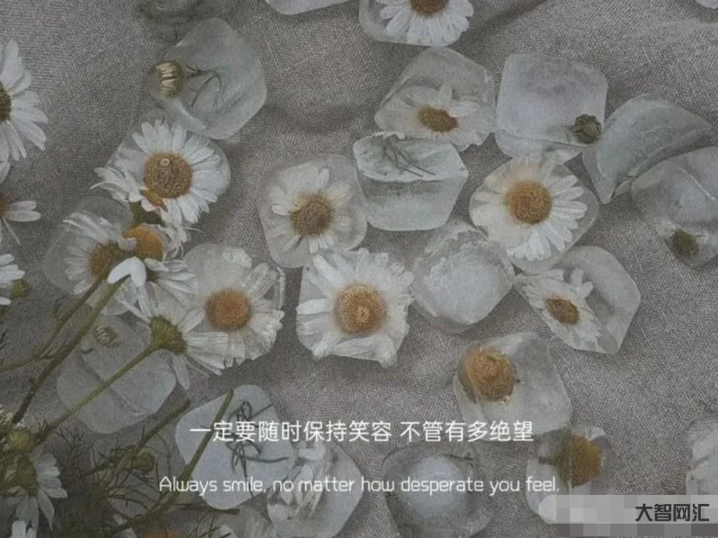最熱真實文案句子-發在朋友圈會被秒贊的文案 最熱真實文案句子-發在朋友圈會被秒贊的文案
