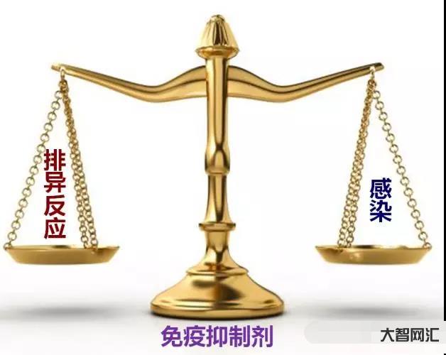 免疫抑制劑有哪些-使用10種免疫抑制劑,腎友必須記住2點,既能降蛋白又 免疫抑制劑有哪些-使用10種免疫抑制劑,腎友必須記住2點,既能降蛋白又