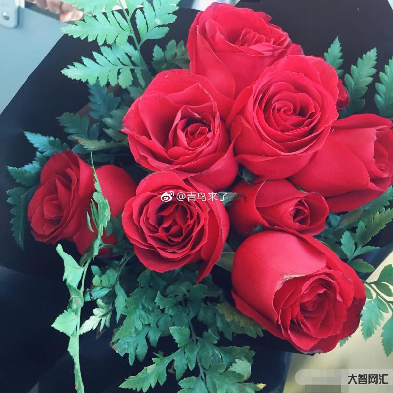 玫瑰和誰最配-菊花、玫瑰花、茉莉花可混合沖泡，專治肝氣不疏，也可疏肝解