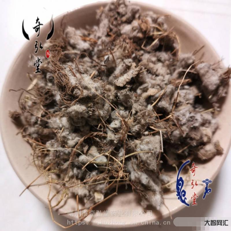 返魂草的功效與作用-小雪時節入嚴冬，修正藥業肺寧顆粒提醒市民防寒護肺