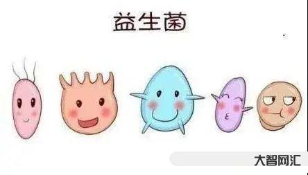 5個多月益生菌應該喝多少-關于益生菌,家長想知道的都在這里!你家寶寶吃 5個多月益生菌應該喝多少-關于益生菌,家長想知道的都在這里!你家寶寶吃