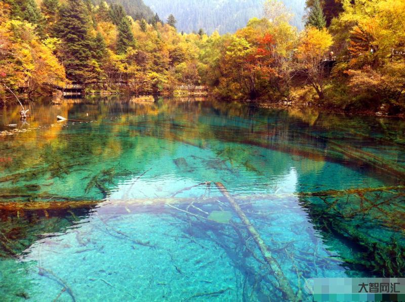 九寨溝旅游最佳時間-美麗神奇的四川九寨溝 最佳旅游時間已到來 你準備好 九寨溝旅游最佳時間-美麗神奇的四川九寨溝 最佳旅游時間已到來 你準備好