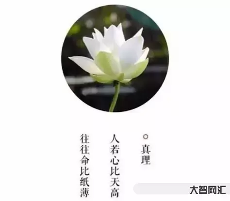 心比天高命比紙薄-道德經-連載312:“心比天高，命比紙薄”的真相，是