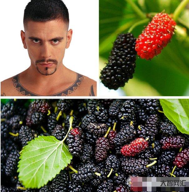 桑葚對男人性功能好嗎-腎不夠好的男人,睡前往溫水里扔5粒,讓腎有用不完 桑葚對男人性功能好嗎-腎不夠好的男人,睡前往溫水里扔5粒,讓腎有用不完