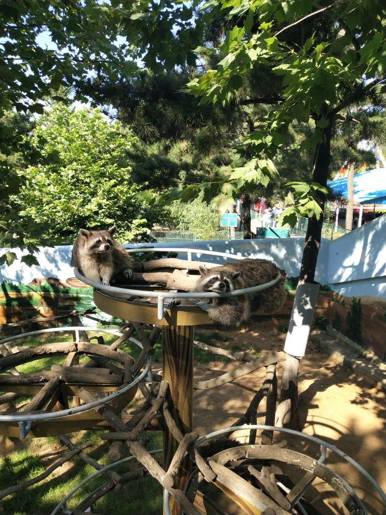 西霞口野生動物園-威海西霞口動物園一日游 西霞口野生動物園-威海西霞口動物園一日游