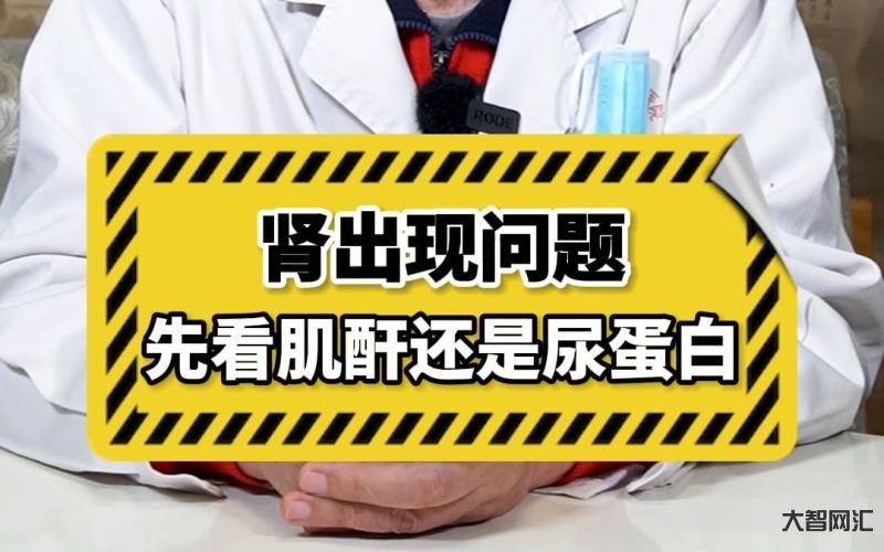 肌酐高是什么問題-醫院體檢發現肌酐高,千萬別忽視這5大常見因素 肌酐高是什么問題-醫院體檢發現肌酐高,千萬別忽視這5大常見因素