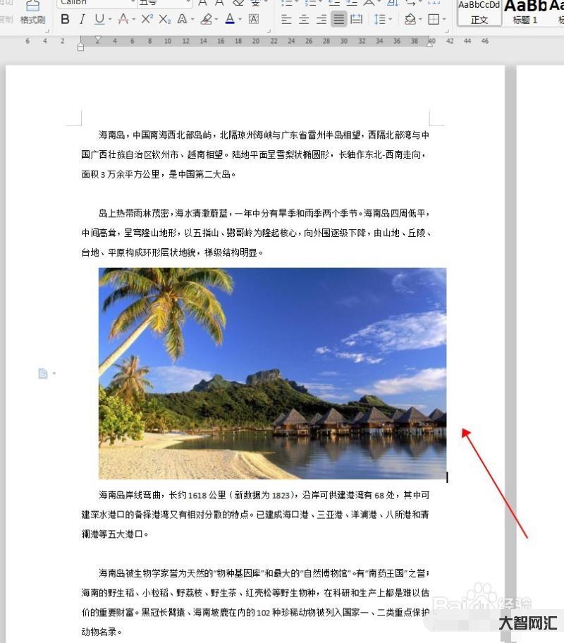 word如何插入圖片-speedoffice(Word)文檔中如何插入