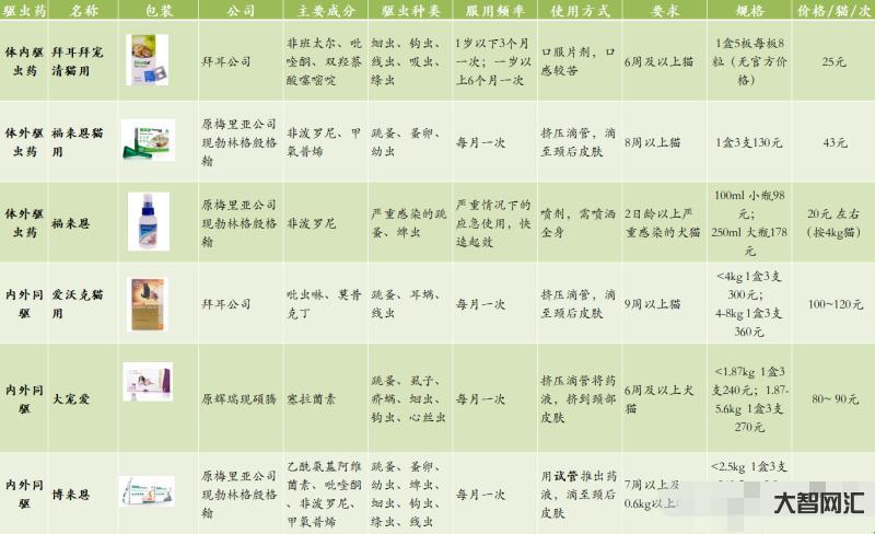 寵物店驅(qū)蟲多少錢-去花鳥市場，40元買下這只小橘貓，驅(qū)蟲時寵物店老板直