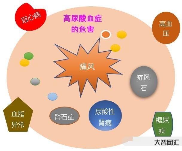 尿酸高怎么辦什么方法降最好-藥品安全播報:尿酸偏高怎么辦?這幾招你一定 尿酸高怎么辦什么方法降最好-藥品安全播報:尿酸偏高怎么辦?這幾招你一定