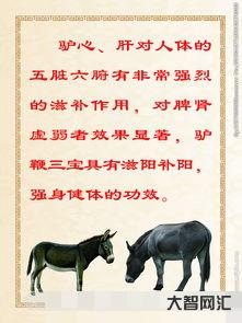 吃驢肉的好處與壞處（吃驢肉的好處和壞處）