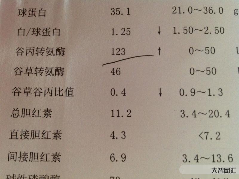 轉氨酶高是怎么回事有什么危害-轉氨酶是什么，轉氨酶偏高應該怎么辦
