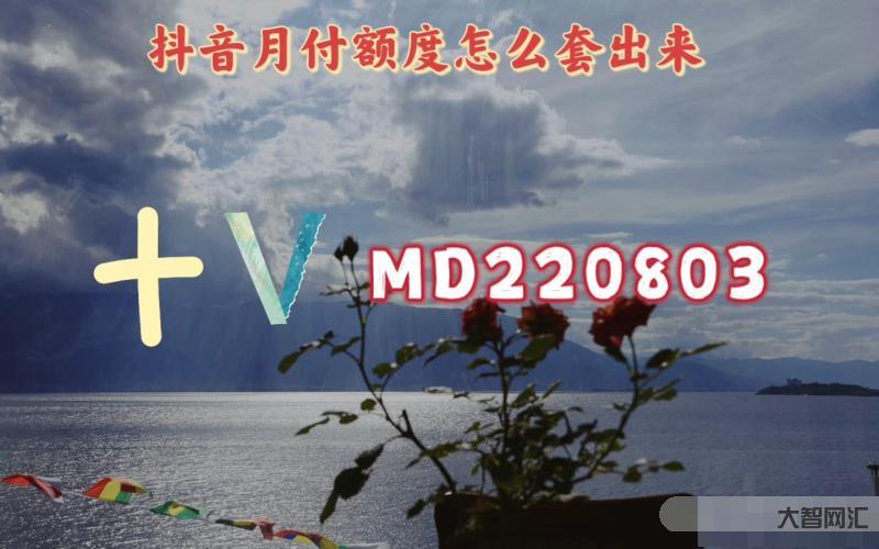 抖音月付什么意思-提高“給錢”效率，抖音掃支付寶收款碼可以直接付款了