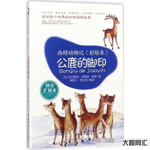足跡拼音如何讀，足跡拼音如何寫