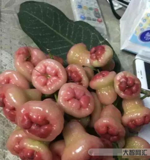 痔瘡是什么樣子的-十人九痔!痔瘡是什么樣的?得了痔瘡要注意哪些方面? 痔瘡是什么樣子的-十人九痔!痔瘡是什么樣的?得了痔瘡要注意哪些方面?