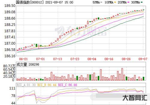 國債指數(shù)（國債指數(shù)叫什么意思）
