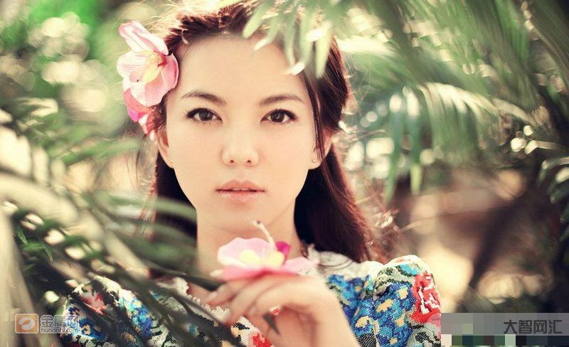 李湘的履歷-李湘的職業(yè)經(jīng)歷