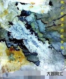 南懷瑾舍利