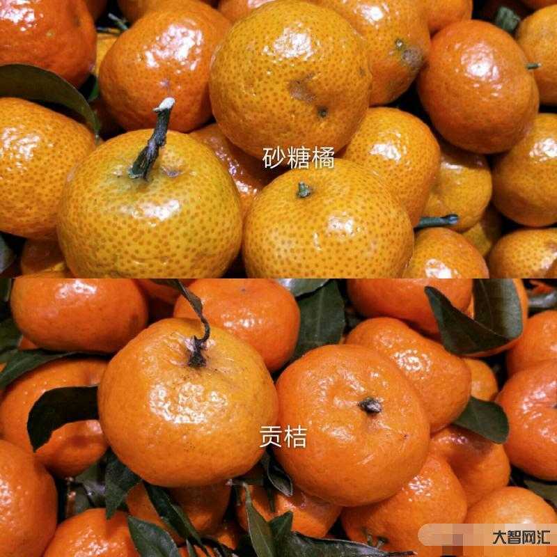 小砂糖橘的專屬車票-廣小砂糖橘研學(xué)圓滿結(jié)束,坐上專屬的民俗車廂玩嗨了#砂糖橘 小砂糖橘的專屬車票-廣小砂糖橘研學(xué)圓滿結(jié)束,坐上專屬的民俗車廂玩嗨了#砂糖橘