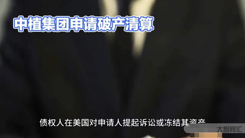 中植集團破產清算償債有望提速-中植集團破產清算 償債有望提速!!! 中植集團破產清算償債有望提速-中植集團破產清算 償債有望提速!!!