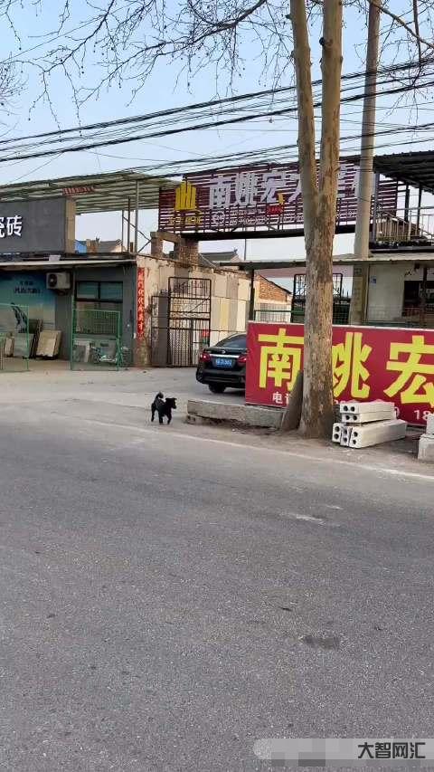 網(wǎng)購迪士尼套餐最終民警護送入園-網(wǎng)購迪士尼套餐最終民警護送入園,女子稱遭網(wǎng)店欺詐威脅 網(wǎng)購迪士尼套餐最終民警護送入園-網(wǎng)購迪士尼套餐最終民警護送入園,女子稱遭網(wǎng)店欺詐威脅
